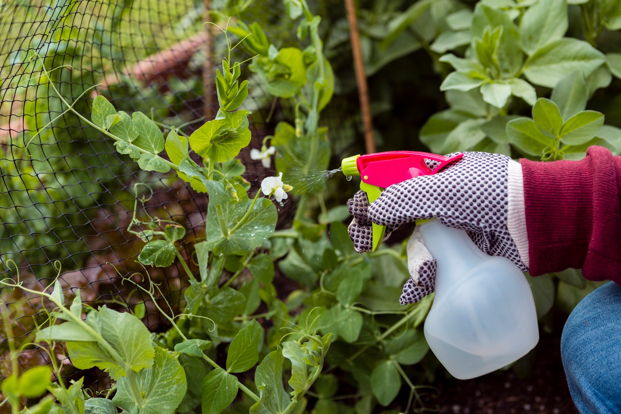 Fungicides